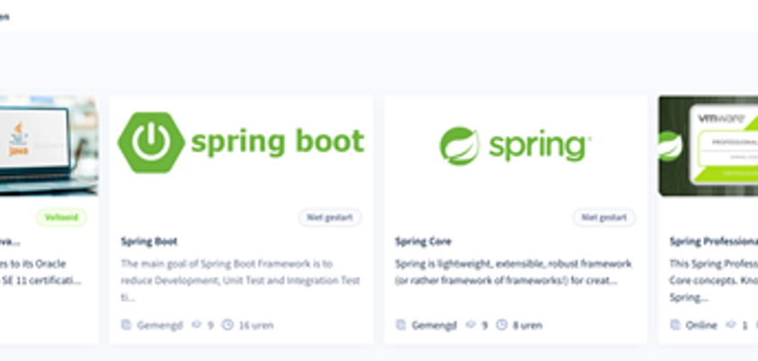 Groeien in je Java carrière : Spring opleiding